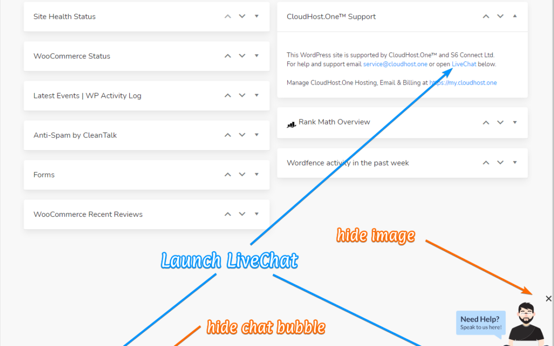 Help and Support within WordPress